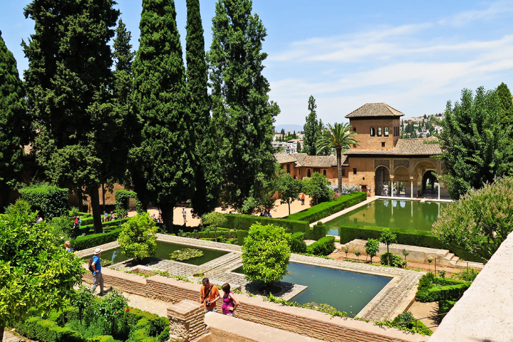 a close up of a flower garden